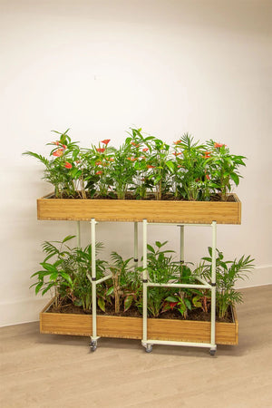 Bamboo Eco Friendly Planters 8