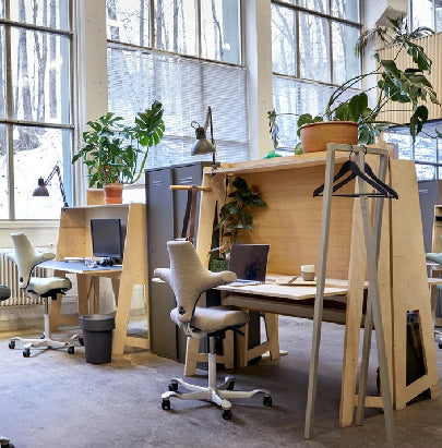 Acoustic Celing Lighting in Meeting Room