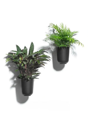 Gufo Decorative Planters 6