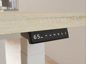 Motorised Sit Stand Desk OLED Control Panel