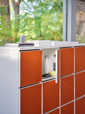 Wooden Locker Standard Cabinets in Modern Office Setting