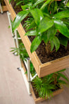 Bamboo Eco Friendly Planters 15