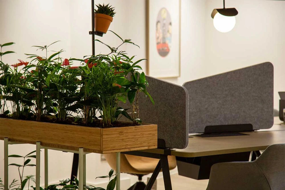 Bamboo Eco Friendly Planters 7
