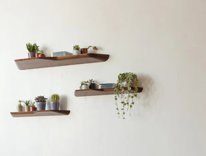 Buzziplank Shelf 8