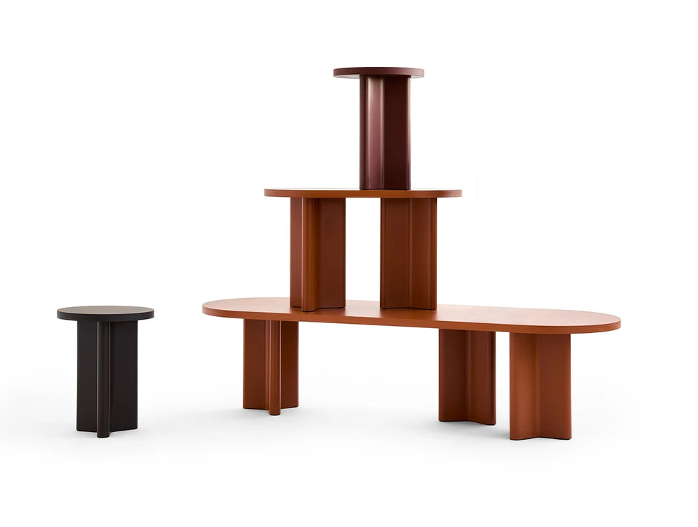 Kaktus knjiga s policama u obliku pravokutnika inspirirana prirodom