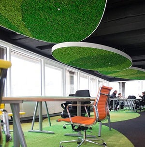 Green Mood Green Walls Lichen Moss In Visiyou Office