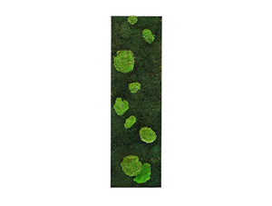 Green Mood Island Flat Ball Moss Frame 1150 X 350Mm2