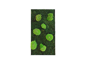 Green Mood Island Flat Ball Moss Frame 350 X 650Mm