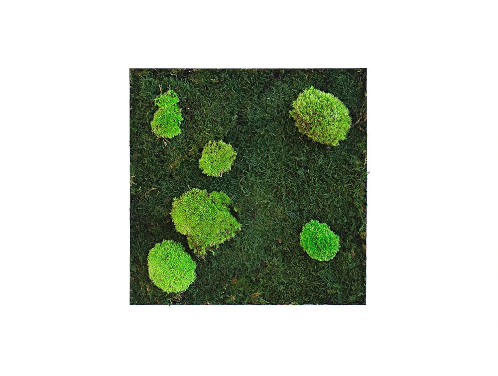 Green Mood Island Flat Ball Moss Frame 400 X 400Mm