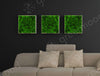 Green Mood Kokoon Ball Moss Frame Above Beige Couch
