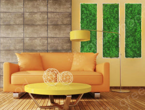 Green Mood Kokoon Ball Moss Frame In Sitting Area