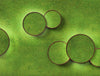 Green Mood Moss Acoustic Circle Wall Hanging Panels With Leds In Green Wall