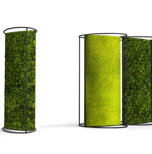 Green Mood Moss Acoustic Room Dividers With Matte White Structure And Lichen And Ball Moss Filling