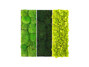 Green Mood Triple Unique Moss Frame 600 X 600Mm