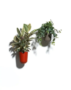 Gufo Decorative Planters 7