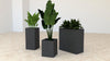 Koala Square Acoustic Planter in Dark Grey Finish in Different Sizes with Plants