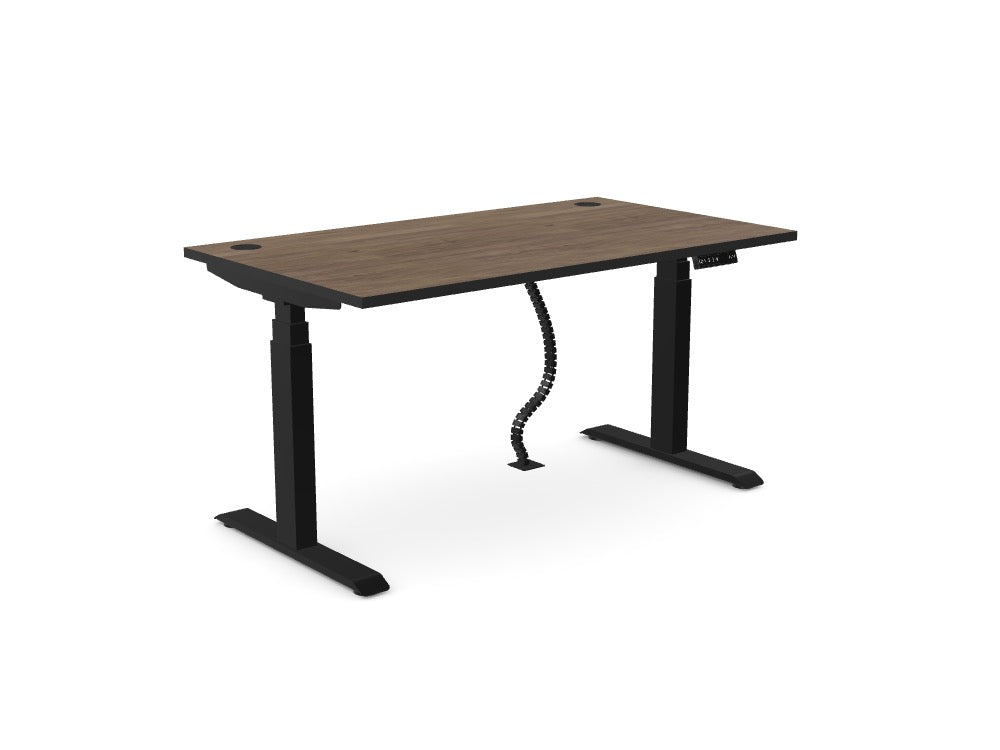Custom Ws.D Levo Sit-Stand Desk - Ref: J8K9H93