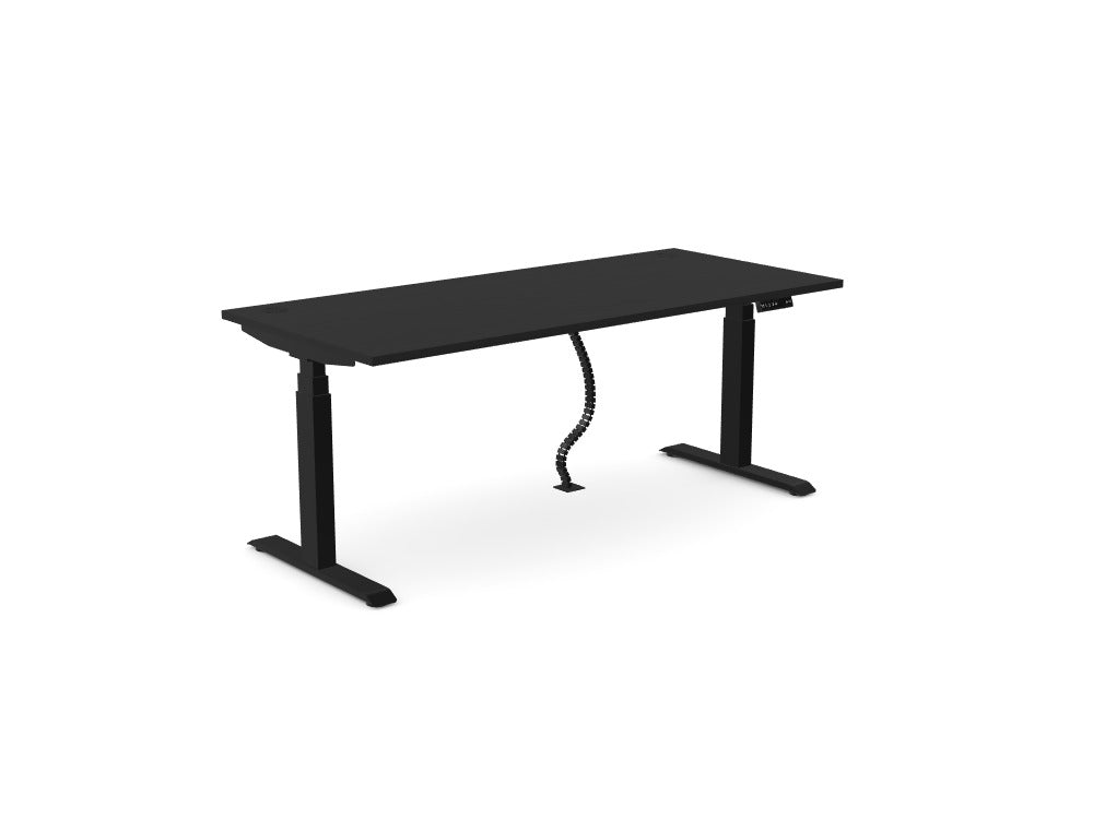 Custom Ws.D Levo Sit-Stand Desk - Ref: ND3UGX