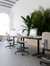 Lift Sit Stand Mobile Chair with Indoor Plant in Office Setting