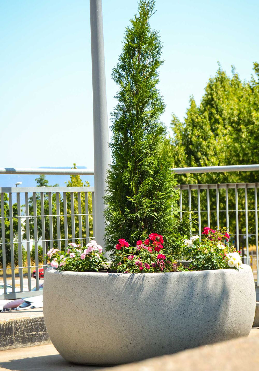 Lisa Large Outdoor Planter in Outdoor Setting