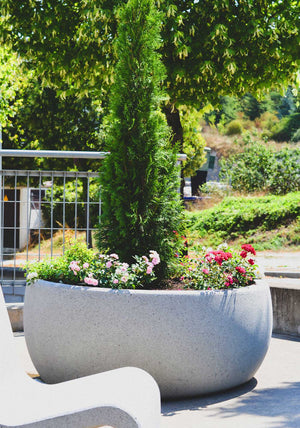 Lisa Medium Outdoor Planter with High Back Chair in Outdoor Setting