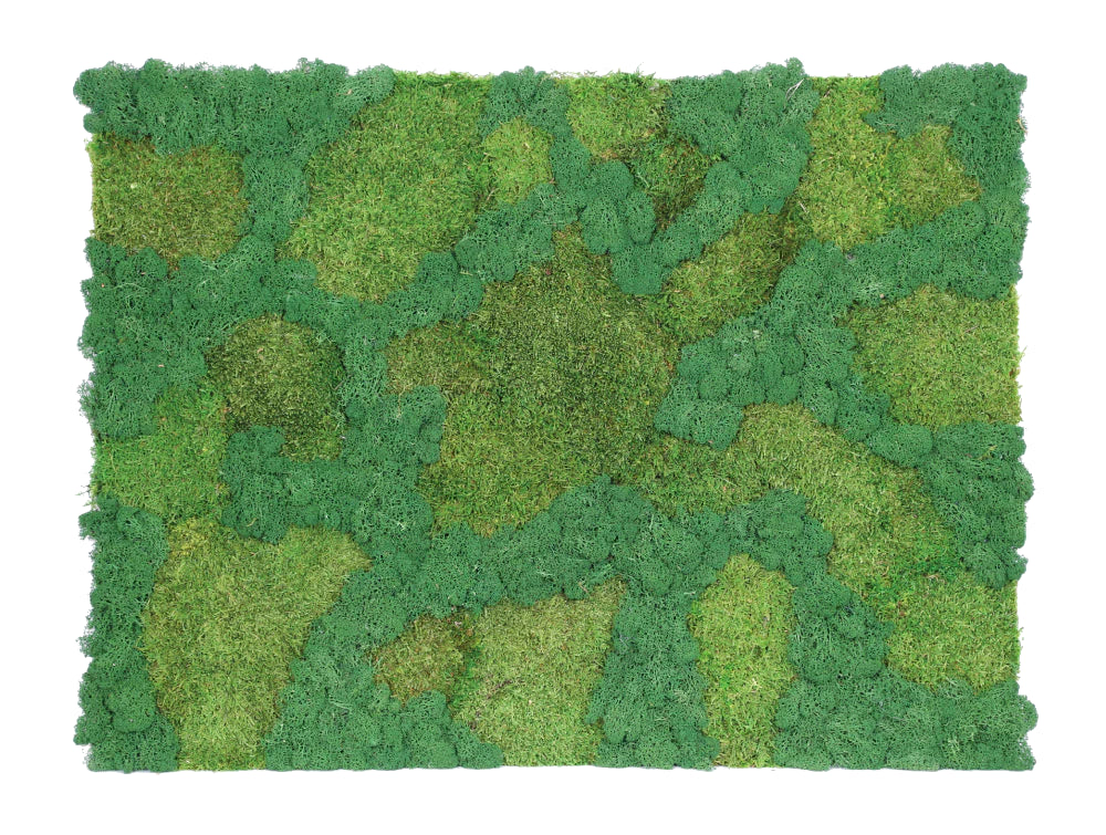 Lombock Acoustic Moss and Nordic Lichen Frame