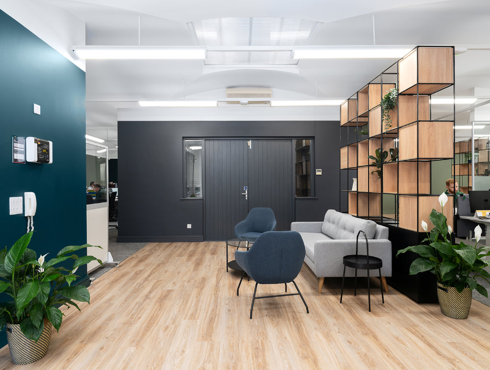 Lounge Chair With Indoor Plant And Sofa In Breakout Setting