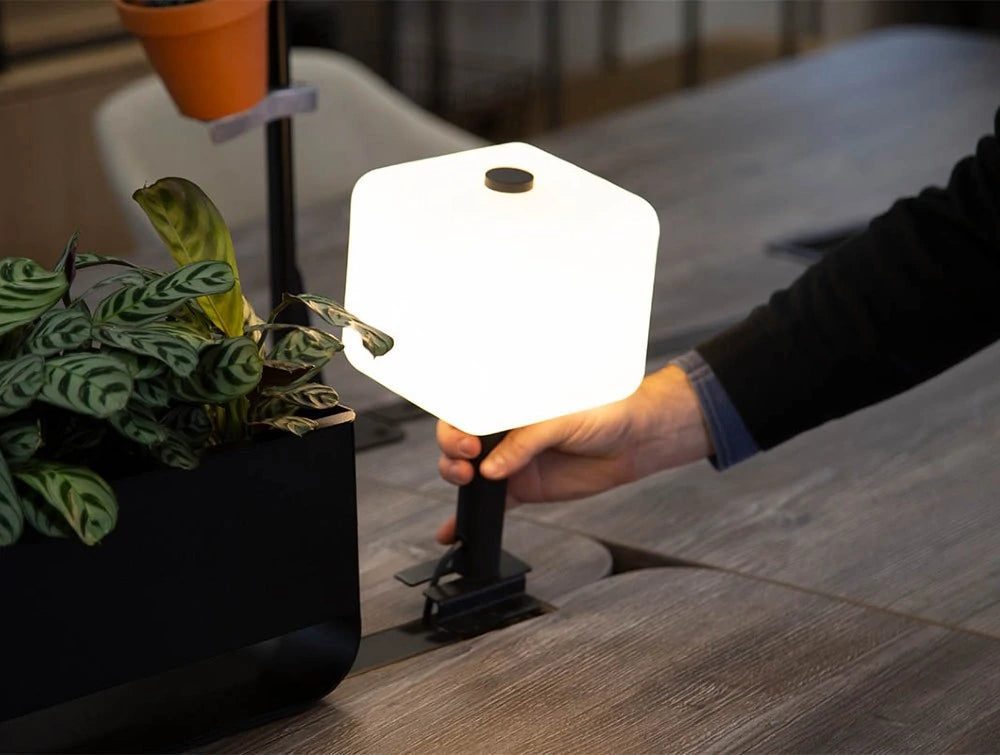 Mallet Light 9