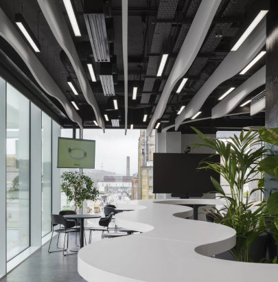 Acoustic Celing Lighting in Meeting Room