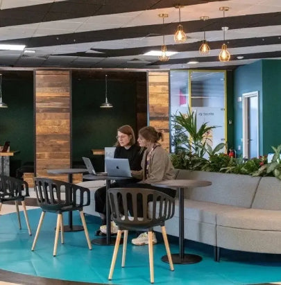 Acoustic Celing Lighting in Meeting Room