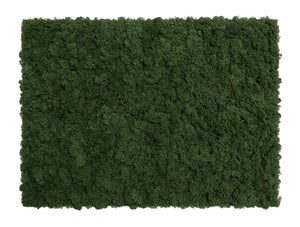 Moss Acoustic Wall Panel
