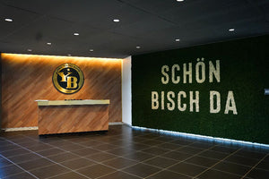 Moss Acoustic Wall Panel in Green Finish with Reception Desk in Reception Setting