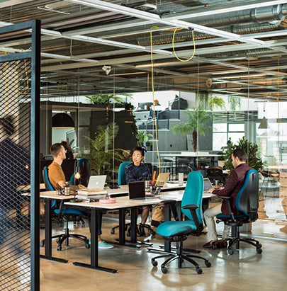 Acoustic Celing Lighting in Meeting Room