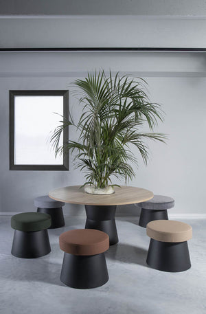 Salt Padded Pouffe With Round Table And Indoor Plant In Breakout Setting