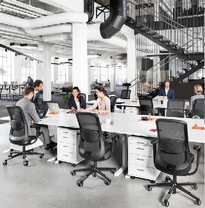 Acoustic Celing Lighting in Meeting Room