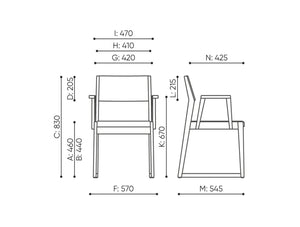 Woodbe Dining Wooden Armchair Dimensions