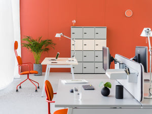 Wooden Locker Standard Cabinets with Bench Desk and Indoor Plant in Modern Office Setting