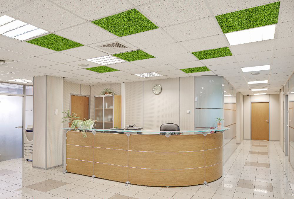 Xelu Acoustic Moss Ceiling Panel in Green Finish with Reception Desk and Chair in Reception Setting